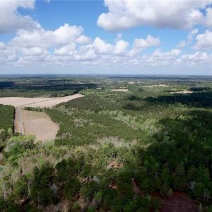 Photo #9 of 3331 Bogie Island, Fayetteville, NC 28.1 acres