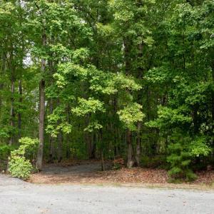 Photo #48 of PARK RUN, MINERAL, VA 1.0 acres