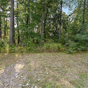 Photo #13 of 11520 GENERAL WADSWORTH DR, SPOTSYLVANIA, VA 0.8 acres