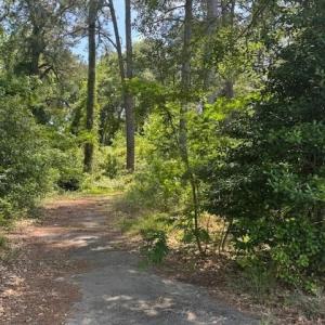 Photo #9 of 5017 Yadkin, Fayetteville, NC 3.7 acres