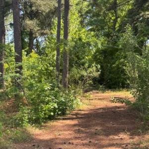 Photo #12 of 5017 Yadkin, Fayetteville, NC 3.7 acres