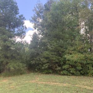Photo #2 of 10325 LITCHFIELD DR, SPOTSYLVANIA, VA 0.9 acres