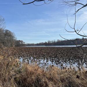Photo #5 of RILEY RD, WARRENTON, VA 13.7 acres
