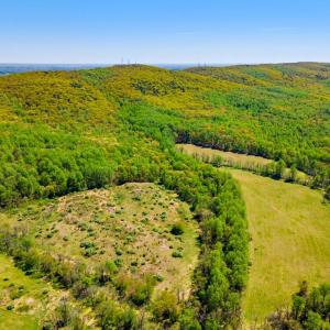 Photo #8 of BULL RUN MOUNTAIN ROAD, THE PLAINS, VA 935.8 acres