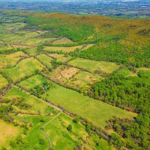 Photo #5 of BULL RUN MOUNTAIN ROAD, THE PLAINS, VA 629.3 acres