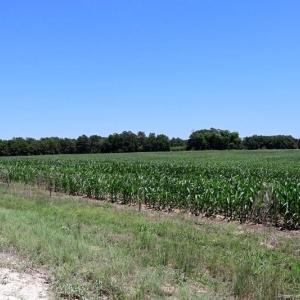 Photo #8 of Sand Rock, Fairmont, NC 27.0 acres