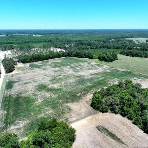 Photo #1 of Sand Rock, Fairmont, NC 27.0 acres