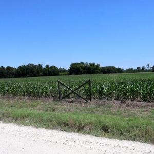 Photo #11 of Sand Rock, Fairmont, NC 27.0 acres
