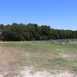 Photo #16 of Sand Rock, Fairmont, NC 27.0 acres