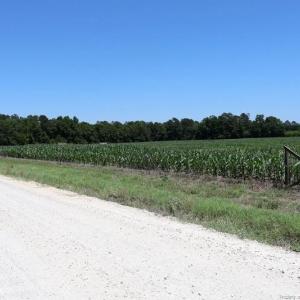 Photo #12 of Sand Rock, Fairmont, NC 27.0 acres