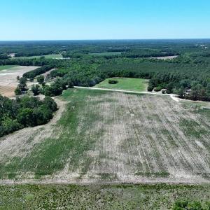 Photo #5 of Sand Rock, Fairmont, NC 27.0 acres