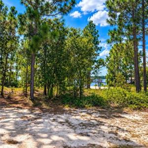 Photo #7 of Lot#510 Horsepen, Harrells, NC 0.4 acres