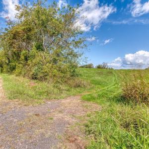 Photo #9 of OAK PARK RD, LOCUST DALE, VA 21.9 acres
