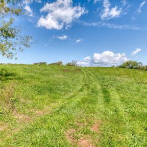 Photo #10 of OAK PARK RD, LOCUST DALE, VA 21.9 acres