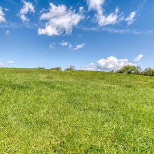 Photo #11 of OAK PARK RD, LOCUST DALE, VA 21.9 acres