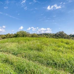 Photo #12 of OAK PARK RD, LOCUST DALE, VA 21.9 acres