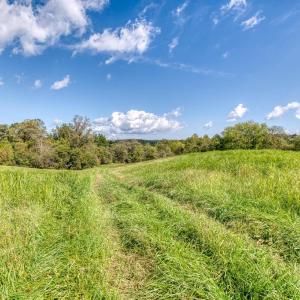 Photo #13 of OAK PARK RD, LOCUST DALE, VA 21.9 acres