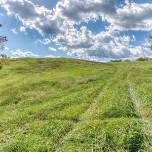 Photo #14 of OAK PARK RD, LOCUST DALE, VA 21.9 acres