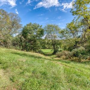 Photo #15 of OAK PARK RD, LOCUST DALE, VA 21.9 acres