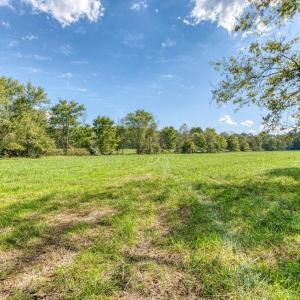 Photo #16 of OAK PARK RD, LOCUST DALE, VA 21.9 acres