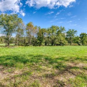 Photo #17 of OAK PARK RD, LOCUST DALE, VA 21.9 acres