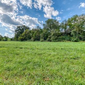 Photo #19 of OAK PARK RD, LOCUST DALE, VA 21.9 acres