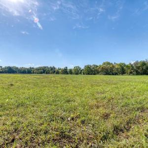 Photo #22 of OAK PARK RD, LOCUST DALE, VA 21.9 acres