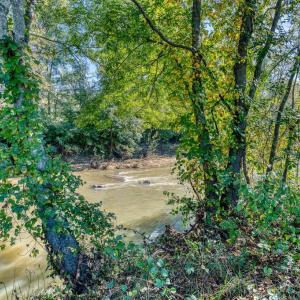 Photo #5 of OAK PARK RD, LOCUST DALE, VA 21.9 acres