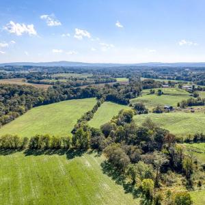 Photo #26 of OAK PARK RD, LOCUST DALE, VA 21.9 acres