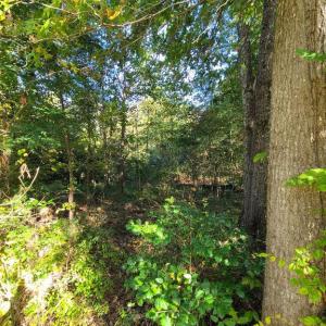 Photo #5 of CHARLES ST, GORDONSVILLE, VA 0.4 acres