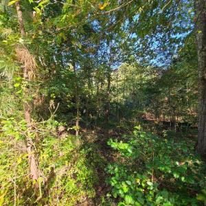 Photo #6 of CHARLES ST, GORDONSVILLE, VA 0.4 acres