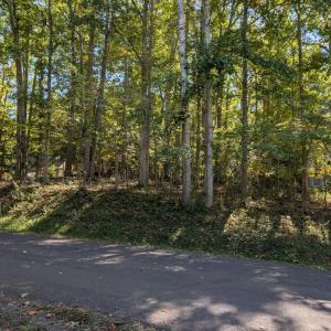 Photo #1 of 905 EASTOVER PKWY, LOCUST GROVE, VA 0.5 acres