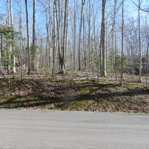 Photo #3 of 905 EASTOVER PKWY, LOCUST GROVE, VA 0.5 acres