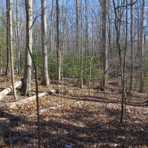 Photo #10 of 905 EASTOVER PKWY, LOCUST GROVE, VA 0.5 acres