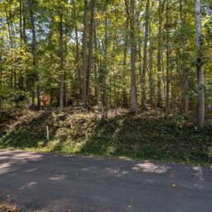 Photo #2 of 905 EASTOVER PKWY, LOCUST GROVE, VA 0.5 acres