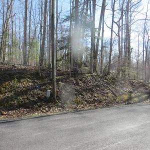 Photo #5 of 905 EASTOVER PKWY, LOCUST GROVE, VA 0.5 acres