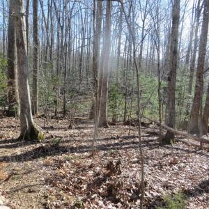 Photo #4 of 905 EASTOVER PKWY, LOCUST GROVE, VA 0.5 acres