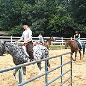 Photo #21 of 905 EASTOVER PKWY, LOCUST GROVE, VA 0.5 acres