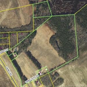 Photo #1 of 161 Short, Raeford, NC 46.0 acres