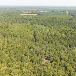 Photo #6 of Live Oak Methodist Church, White Oak, NC 89.0 acres