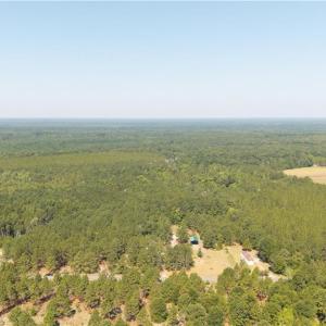 Photo #5 of Live Oak Methodist Church, White Oak, NC 89.0 acres