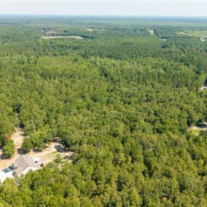 Photo #7 of Live Oak Methodist Church, White Oak, NC 89.0 acres