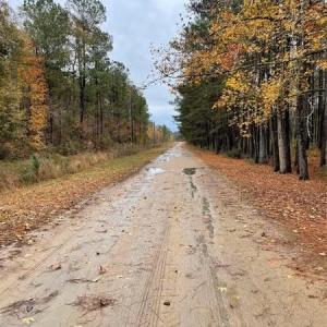 Photo #2 of Porcelain, Maxton, NC 44.0 acres