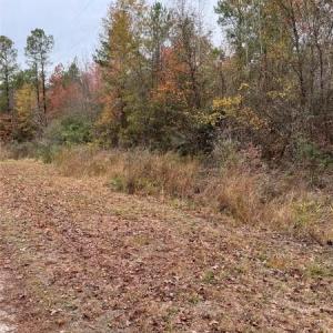 Photo #4 of Porcelain, Maxton, NC 44.0 acres