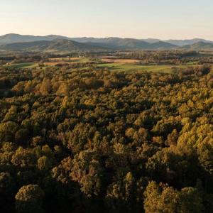 Photo #2 of SHELBY RD, ROCHELLE, VA 67.0 acres