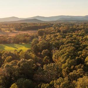 Photo #3 of SHELBY RD, ROCHELLE, VA 67.0 acres