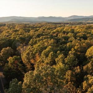 Photo #4 of SHELBY RD, ROCHELLE, VA 67.0 acres