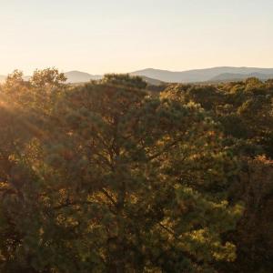 Photo #5 of SHELBY RD, ROCHELLE, VA 67.0 acres