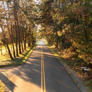 Photo #7 of SHELBY RD, ROCHELLE, VA 67.0 acres