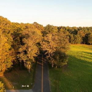 Photo #8 of SHELBY RD, ROCHELLE, VA 67.0 acres